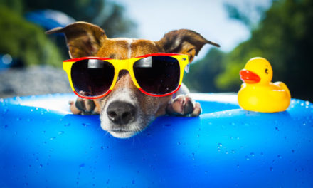 Sunwear is Good Eye Health Care:  Six reasons you should wear sunglasses more often.