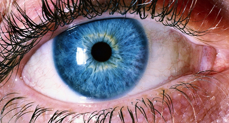 What is the Retina? Retinal detachment and other retinal issues.